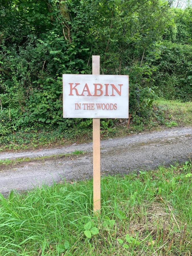 Kabin In The Woods Llandybie 外观 照片
