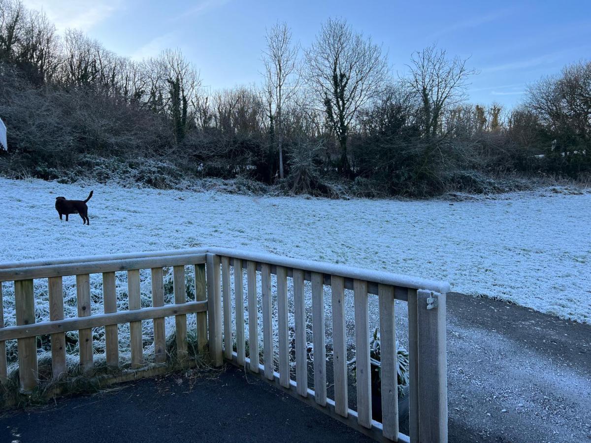 Kabin In The Woods Llandybie 外观 照片