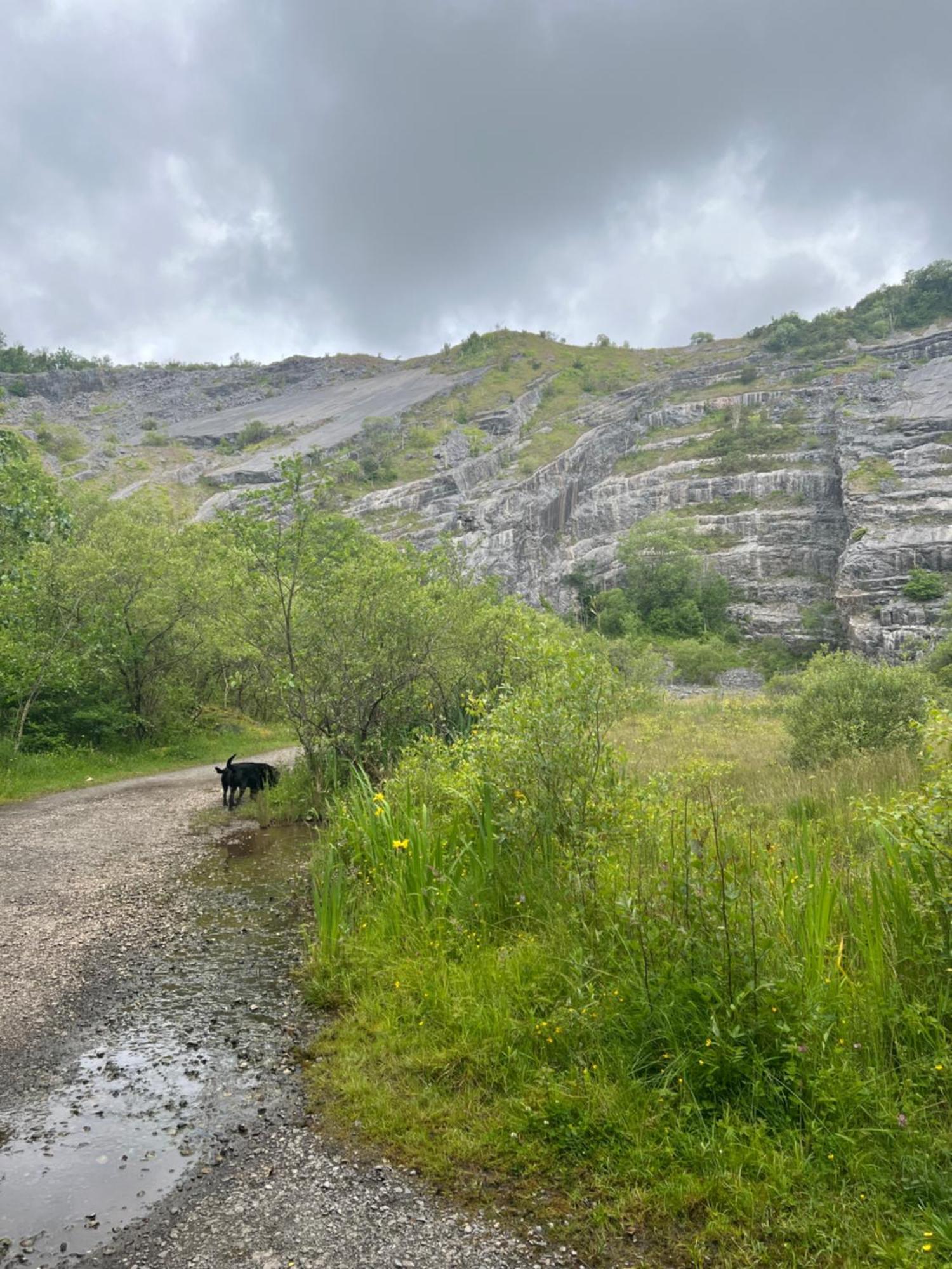 Kabin In The Woods Llandybie 外观 照片