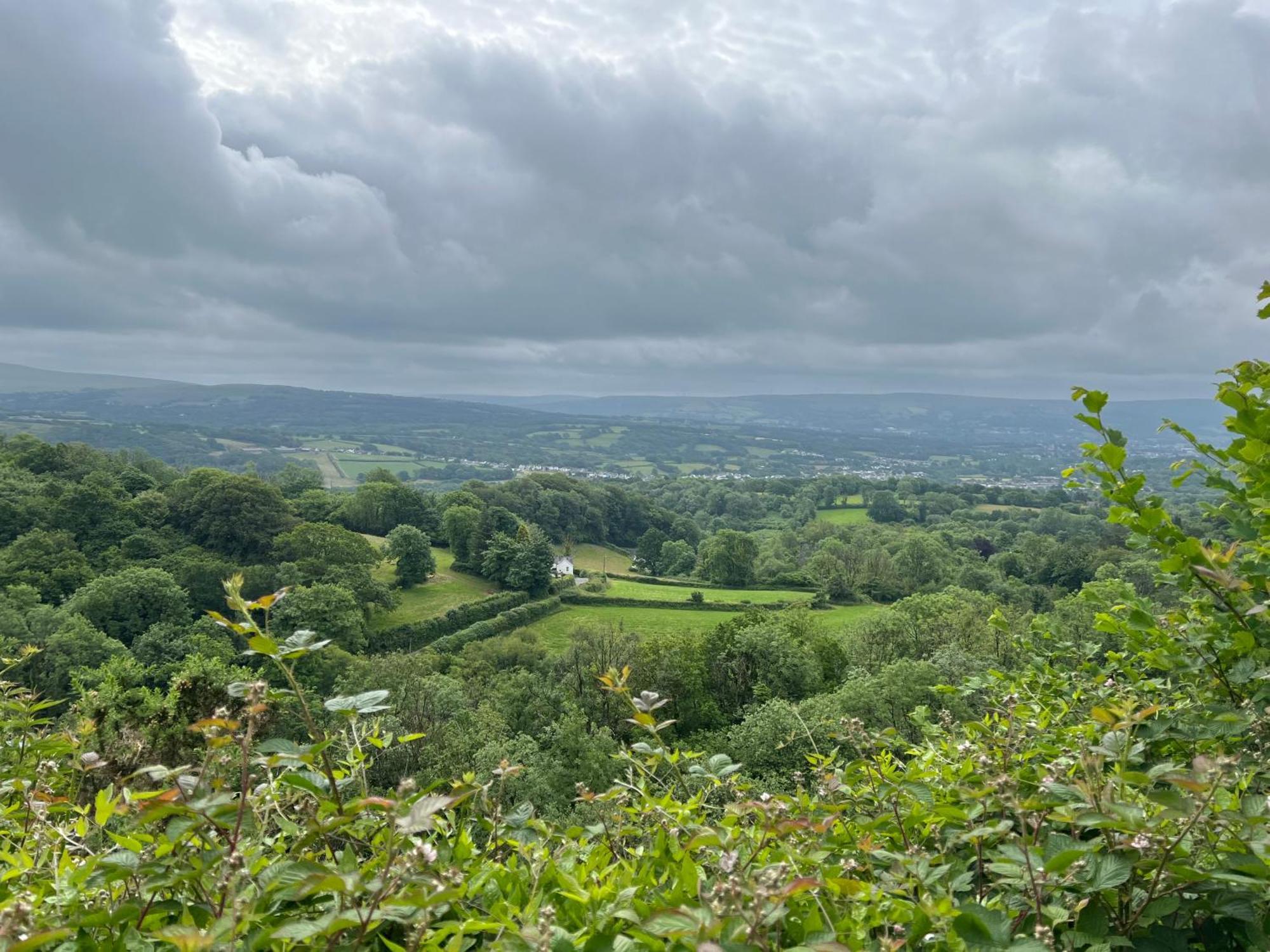 Kabin In The Woods Llandybie 外观 照片