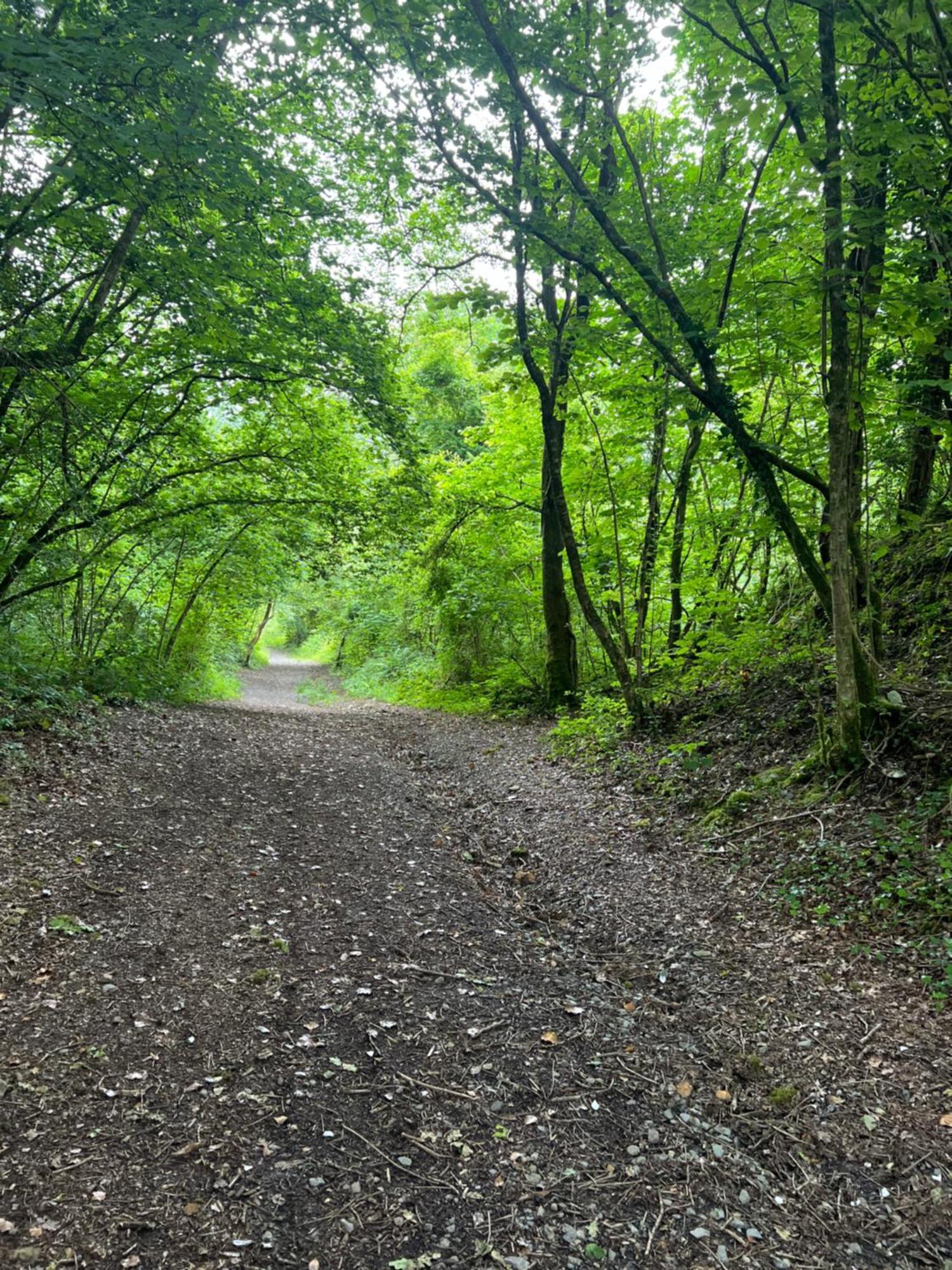Kabin In The Woods Llandybie 外观 照片